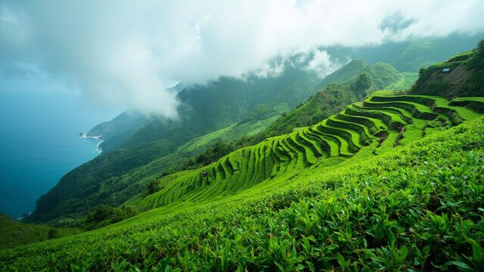 Rize, Türkiye